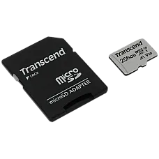 256GB MicroSD (Class 10) UHS-I (U3)..