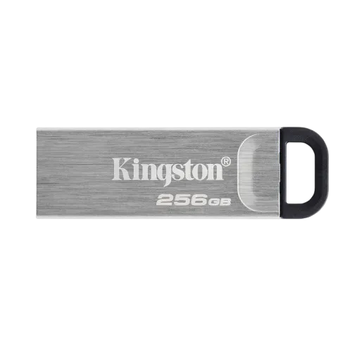 256GB USB3.2 Flash Drive Kingston DataTraveler Kyson, Silver, Metal Case, Key Ring (DTKN/256GB)