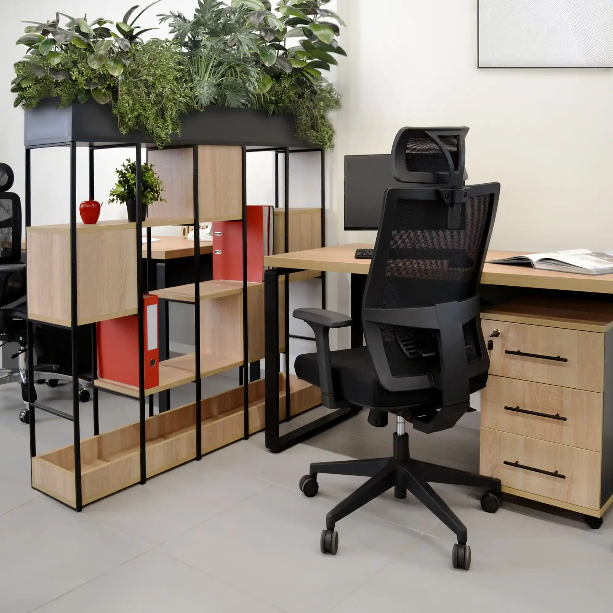 Casetieră Rollbox Sonoma/Anthracite