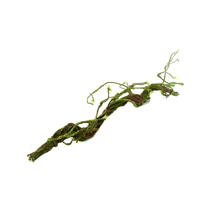Cumpara  Plante decorative - Декоративные корни, PAULA, Коричневый/Зеленый..