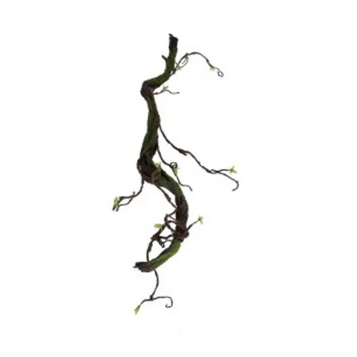 Cumpara  Plante decorative - Декоративные корни, PAULA, Коричневый/Зеленый..