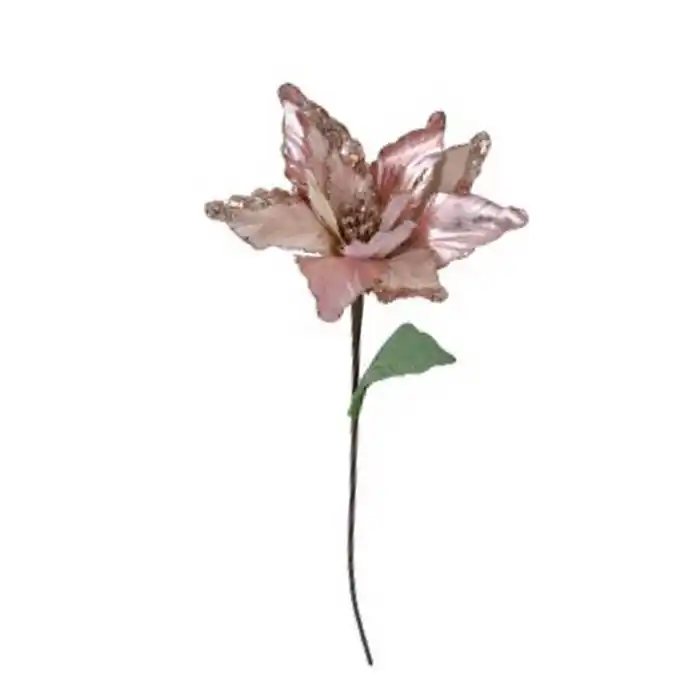 Рождественский цветок, PAULA, 72см