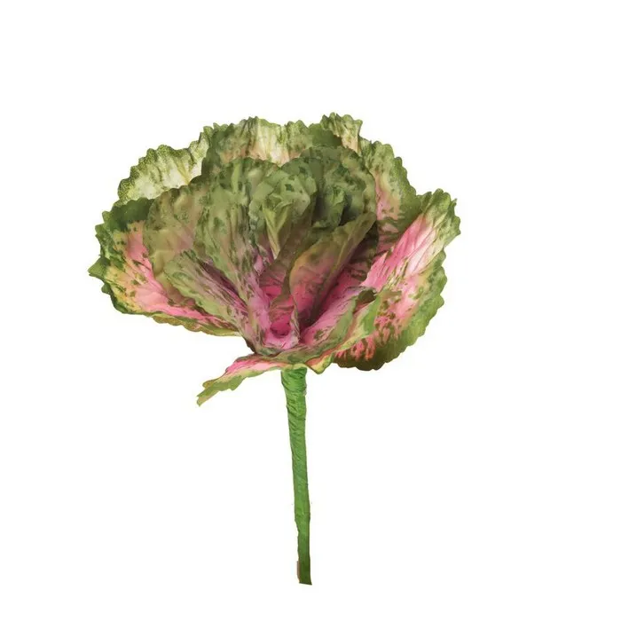 Cumpara  Plante decorative - Декоративная ветка, BOMM, капуста, 33см, Зеле..