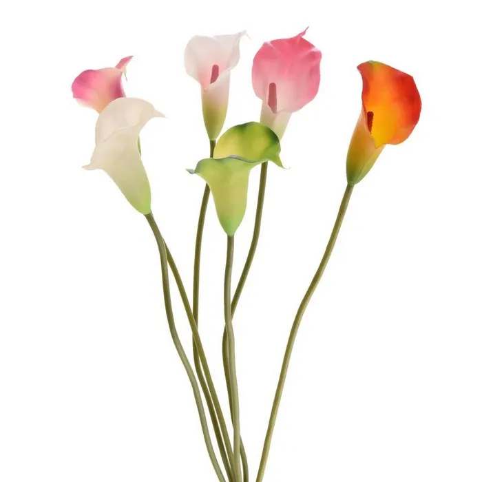Cumpara  Plante și flori artificiale - Искусственный букет, BOMM, Калия, 60см, Разно..