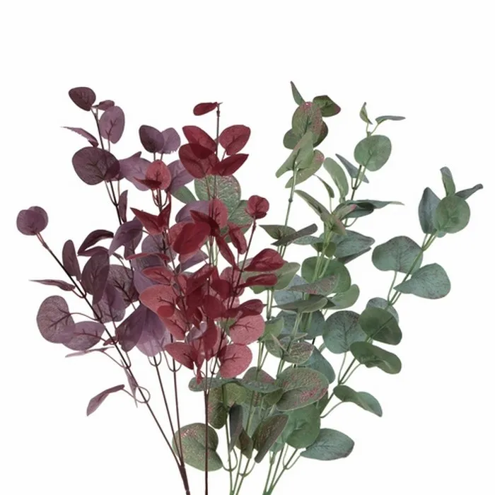 Cumpara  Plante decorative - Декоративная ветка, BOMM, Эвкалипт, Разноцвет..