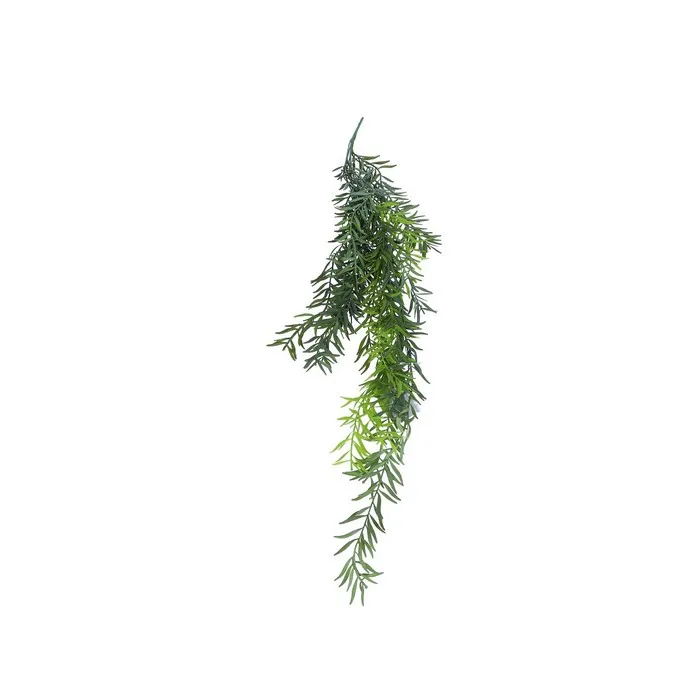 Cumpara  Plante decorative - Декоративная ветка, PAULA, Спаржа, Зеленый, 8..