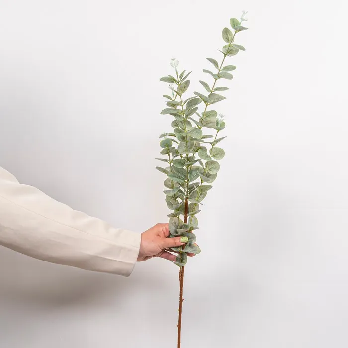 Cumpara  Plante decorative - Декоративная ветка Эвкалипт, Зеленый..