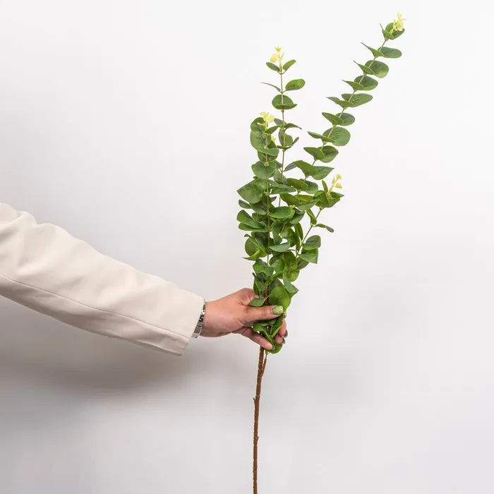 Cumpara  Plante decorative - Декоративная ветка Эвкалипт, Зеленый..