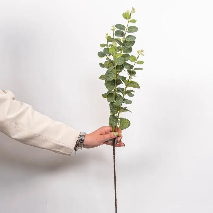 Cumpara  Plante decorative - Декоративная ветка Эвкалипт, Зеленый..
