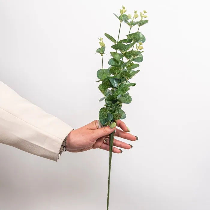 Cumpara  Plante decorative - Декоративная ветка Эвкалипт, Зеленый..