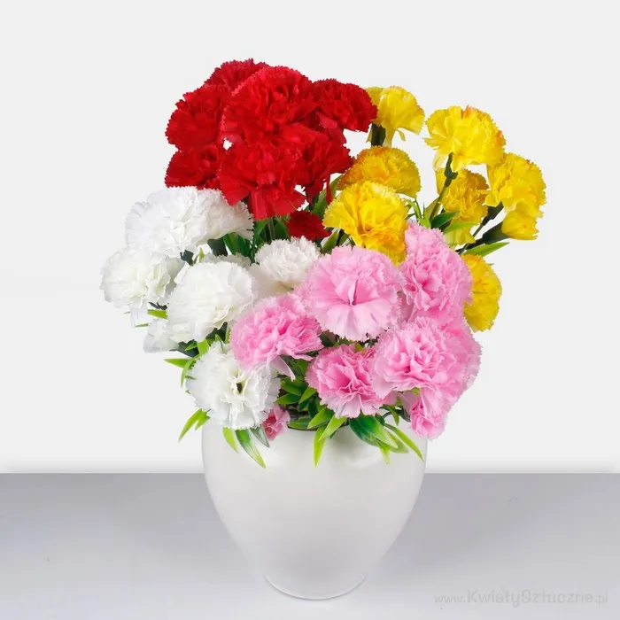 Cumpara  Flori decorative - Искусственный букет, Faktor, Гвоздика, Различ..