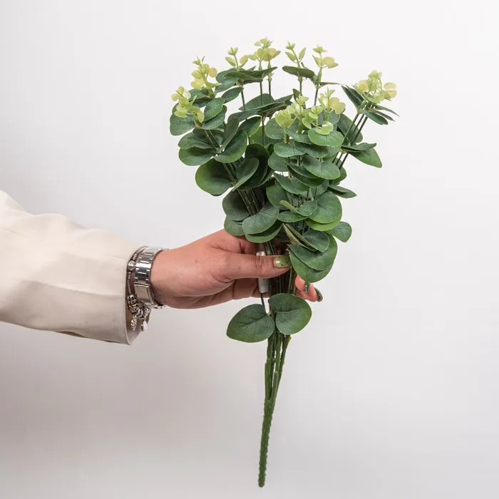 Cumpara  Plante decorative - Декоративная ветка Эвкалипт..