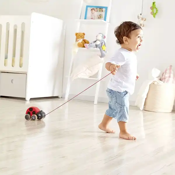 Детская каталочка на веревочке Божья Коровка