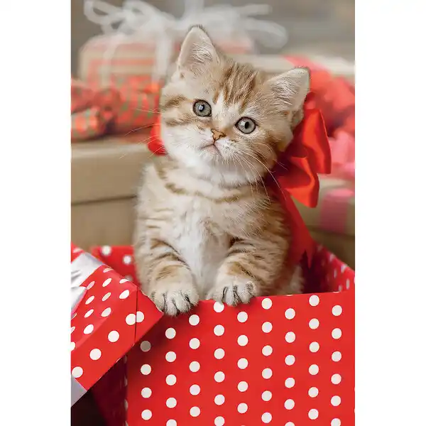 Puzzle 54 mini - Animale drăguțe