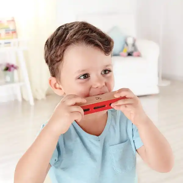 Губная Гармошка