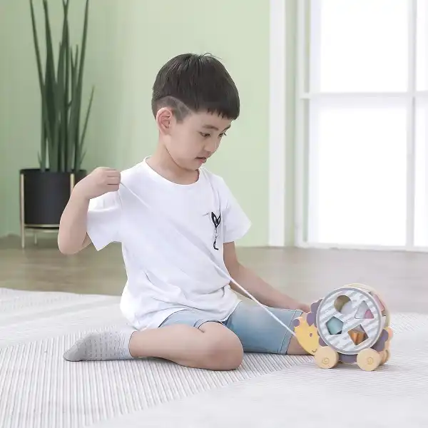 Каталка-сортер на веревке"Ежик"