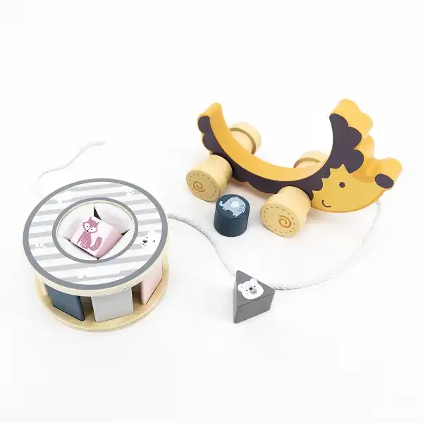 Каталка-сортер на веревке"Ежик"