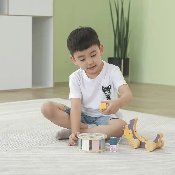 Каталка-сортер на веревке"Ежик"