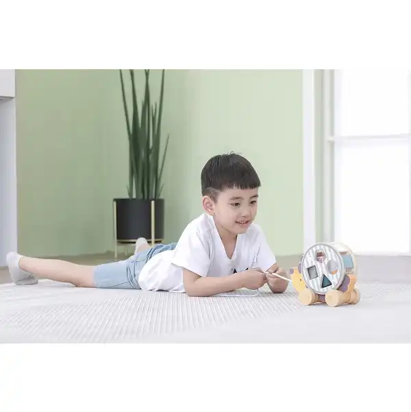 Каталка-сортер на веревке"Ежик"