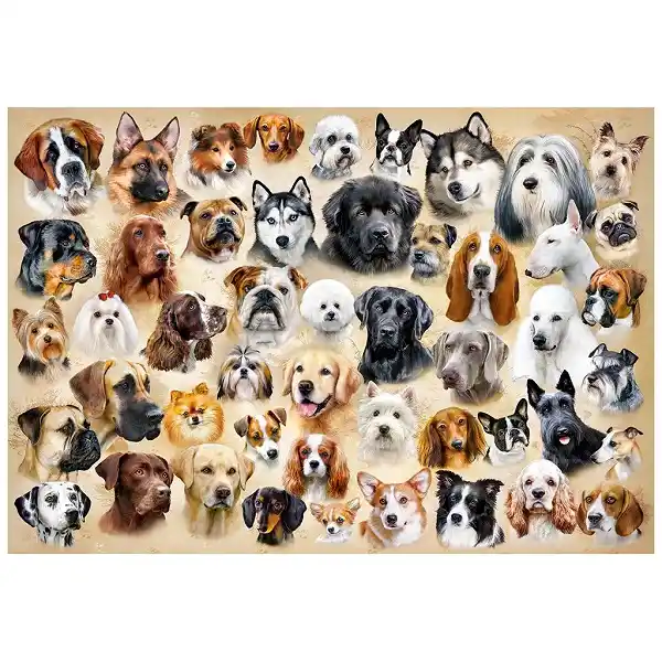 Puzzle 1500 elemente