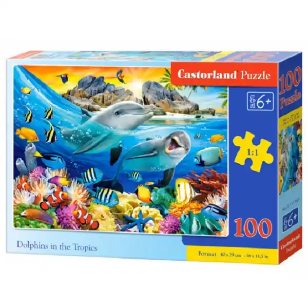 Puzzle 100 elemente