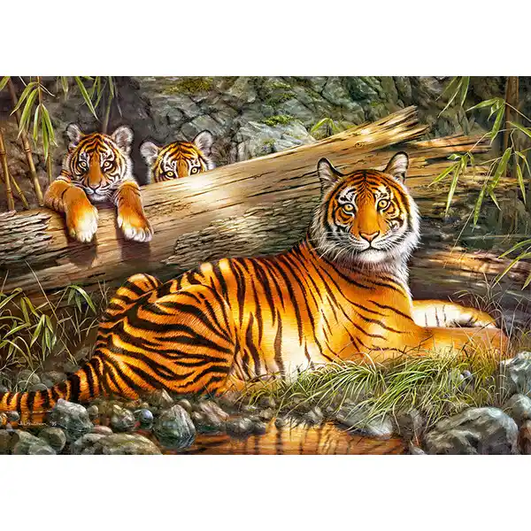 Puzzle 1000 elemente Foc liniștit