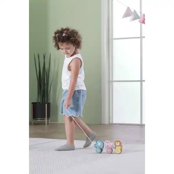 Каталка на веревке “Зверята”