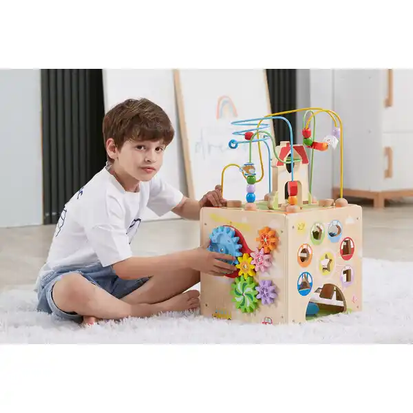 Деревянный бизикуб Viga Toys 5 в 1