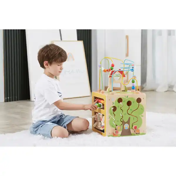 Деревянный бизикуб Viga Toys 5 в 1