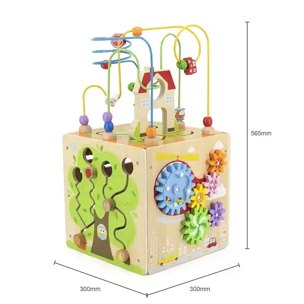 Деревянный бизикуб Viga Toys 5 в 1