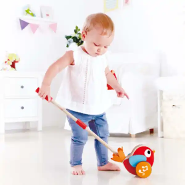 Толкач музыкальный "Птичка Лилли"