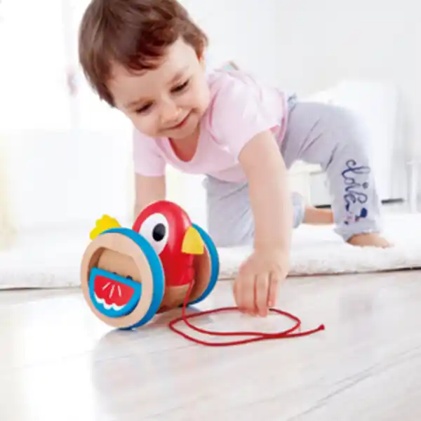 Детская каталочка на веревочке “Птичка”