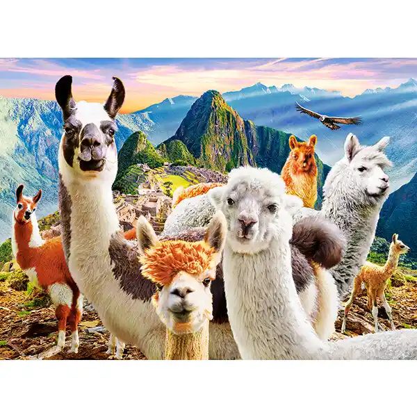 Puzzle 200 elemente