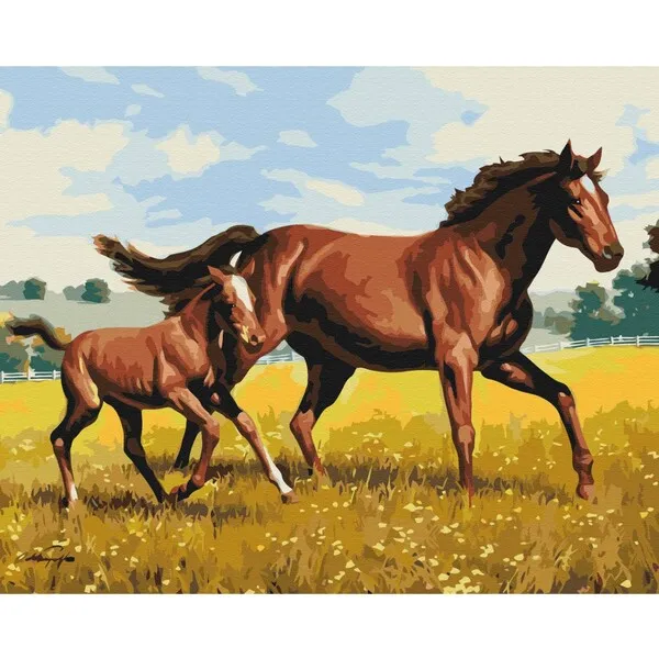 Pictură pe numere 40*50 cm (în cutie) – Galop de familie