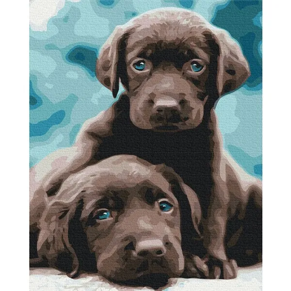 Pictură pe numere 40*50 сm (fără cutie) – Cățeluși cu ochi albaștri