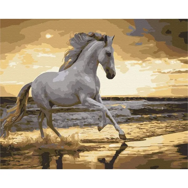 Pictură pe numere 40*50 cm (în cutie) – Trapând pe coastă