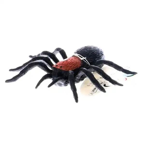Insecte (12 specii)
