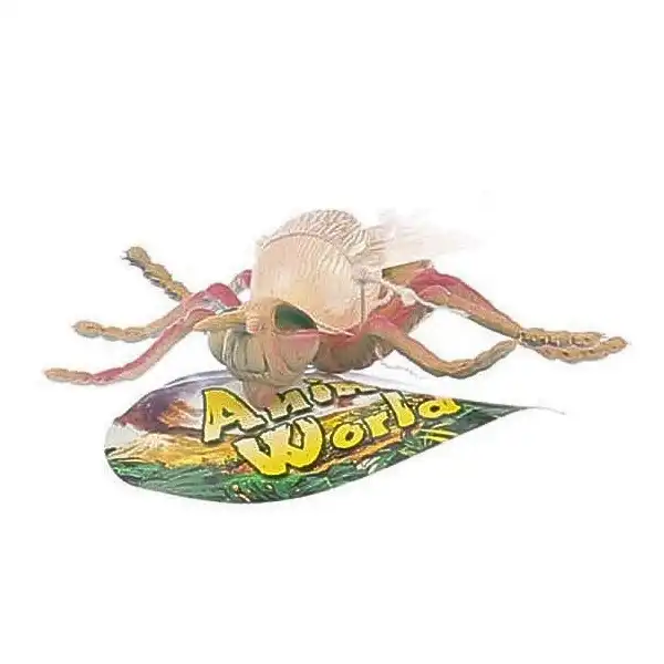 Insecte (12 specii)
