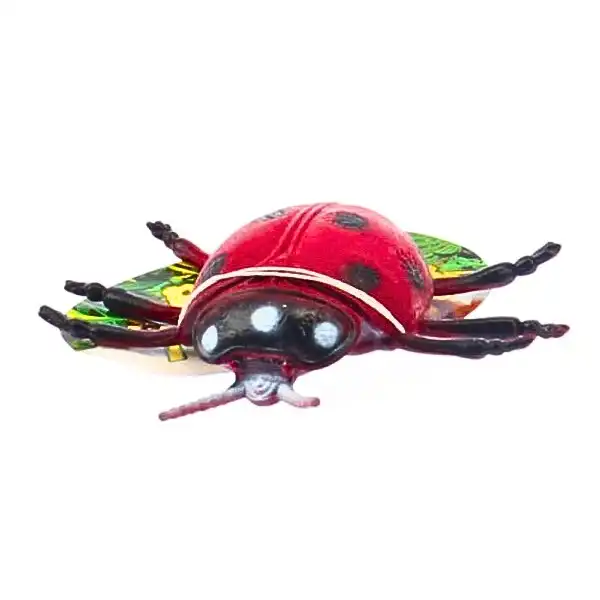 Insecte (12 specii)