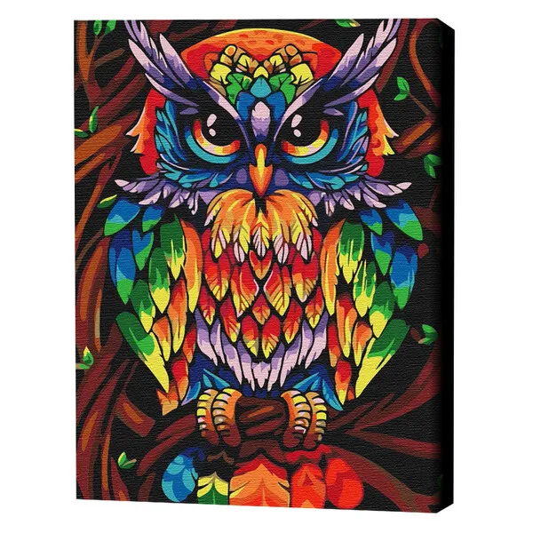 Pictură pe numere 40*50 cm (în cutie) – Bufnița înțeleaptă în culori de curcubeu