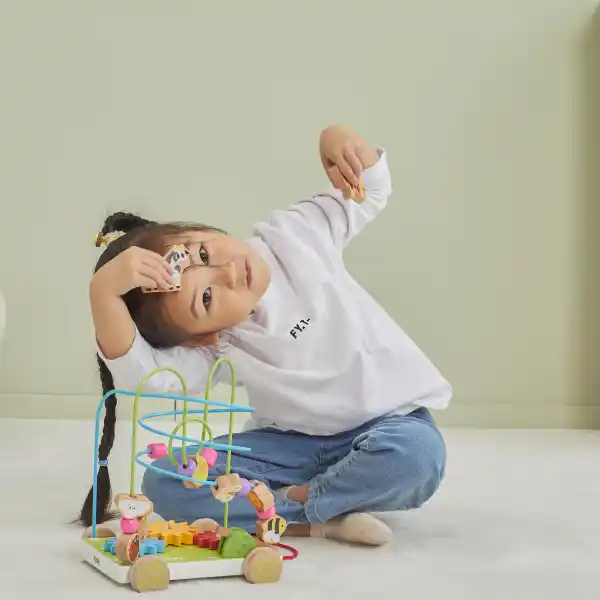 Каталка на веревке с лабиринтом и шестернями