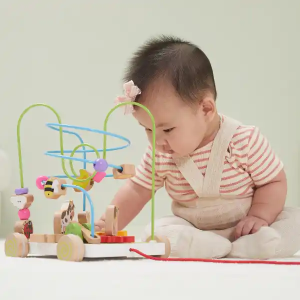 Каталка на веревке с лабиринтом и шестернями