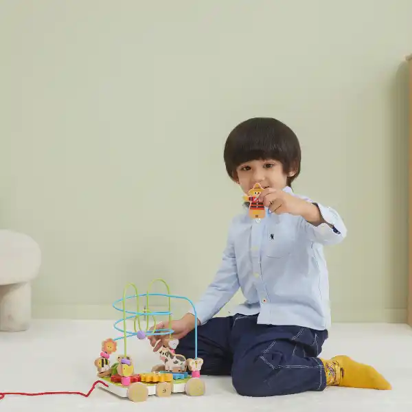 Каталка на веревке с лабиринтом и шестернями