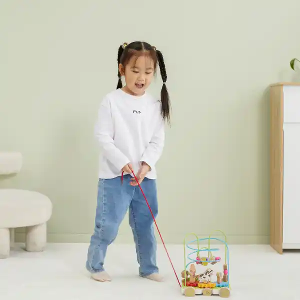 Каталка на веревке с лабиринтом и шестернями