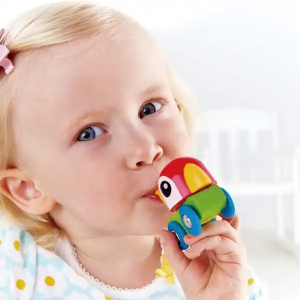Развивающая игрушка “Локомотив – свистящий попугайчик”