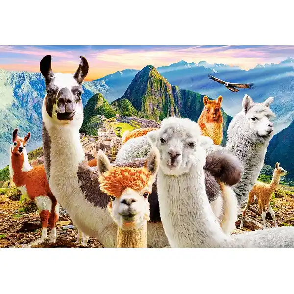 Puzzle 1000 elemente