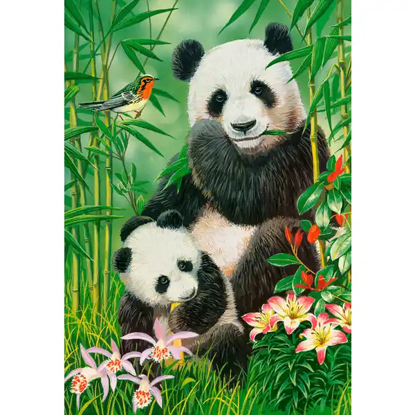 Puzzle 1000 elemente