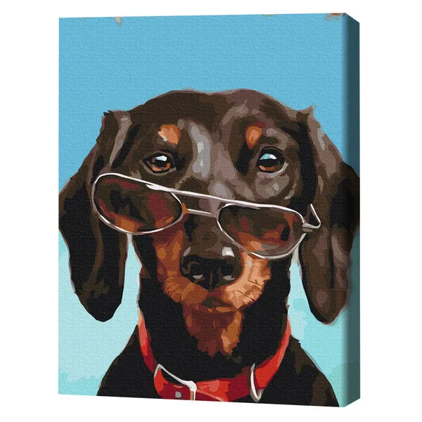 Pictură pe numere 40*50 cm (în cutie) – Pancho