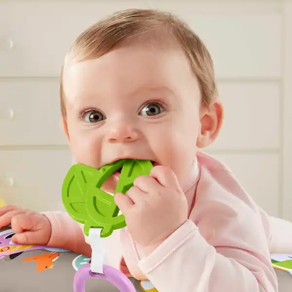 Fisher-Price Развивающая плюшевая игрушка для игры на животике “Ленивец”