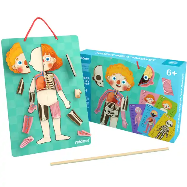 Puzzle magnetic „Corpul uman”, 90 elem.